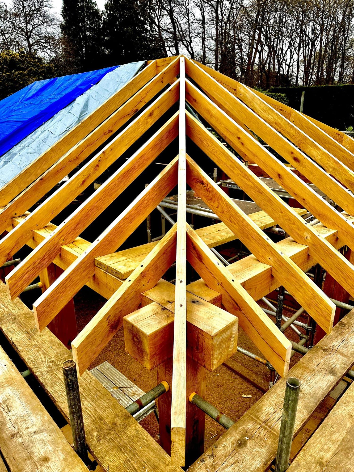 View up into the hipped roof frame from inside the pavilion